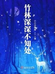 竹林深深不知处